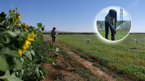 Konyalı çiftçiler: Savaşın faturası üretime çıkıyor, maliyetler büyüyor