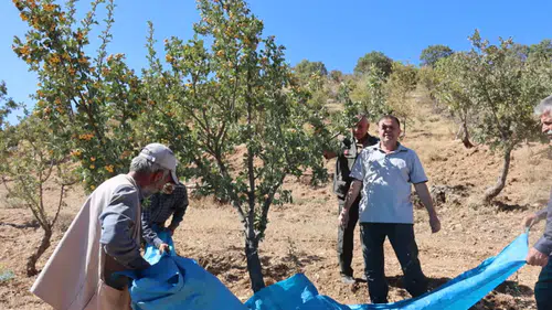 Tapuda yeni dönem: Üç milyon vatandaşın tapu derdi bitirilecek