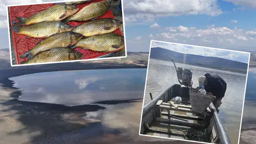 Konya'nın meşhur balığı için 5 yıl beklenecek: Göl su tutuyor