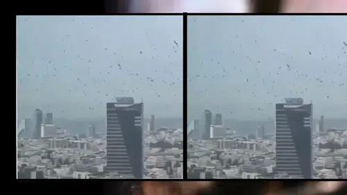 İsrail'de gökyüzünü kara kargalar kapladı: 'Uğursuzluk' dediler