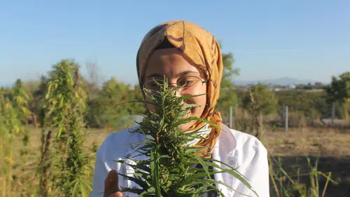 Konya'nın yasağı kalkmıştı: Üretimde yeni lider olması bekleniyor