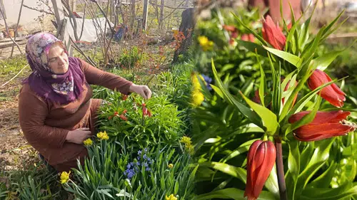 Koparmanın cezası 577 bin lira: Bu çiçeğin adı da hüzünlü