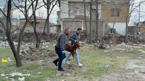 Bayramda da başıboş köpek dehşeti: Üç yaşındaki çocuk ağır yaralandı