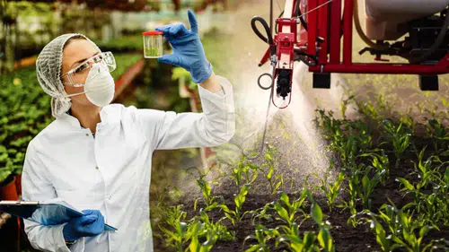 Konya'daki çiftçiler sistemi bekliyor: B-Reçete uygulaması başlıyor