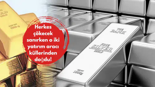 Herkes çökecek sanırken o iki yatırım aracı küllerinden doğdu!