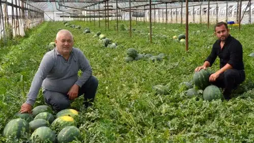 Karpuzu, kavunu pahalı yiyeceğiz: Tarımda ÜFE Mart'ta arttı