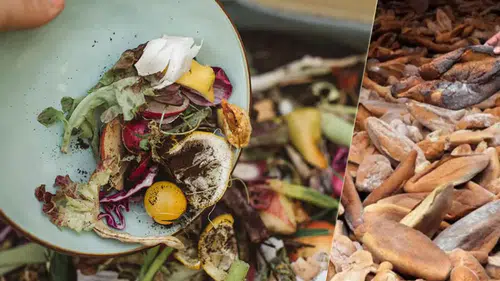 6 milyon ekmek, 30 milyon sebze meyve: Çöpe giden 200 milyar lira