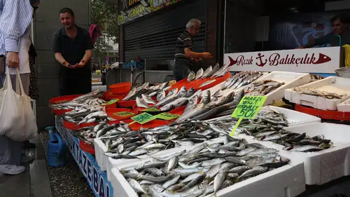 Av mevsiminin son gülerinde istavrit bolluğu