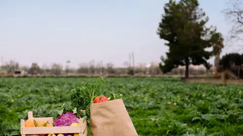 Tarım ve gıdada SOS çağrısı: İran savaşı bir tusinami üretecek