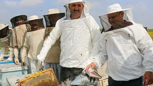 Bal üretiminde yeni dönem: Artık sahte bal yemeyeceğiz