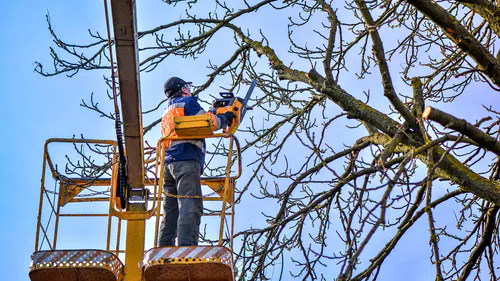 Konya'da bu mesleği yapanlar günlük 4 bin TL kazanıyor