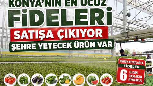 Konya'nın en ucuz fideleri satışa çıkıyor: Şehre yetecek ürün var
