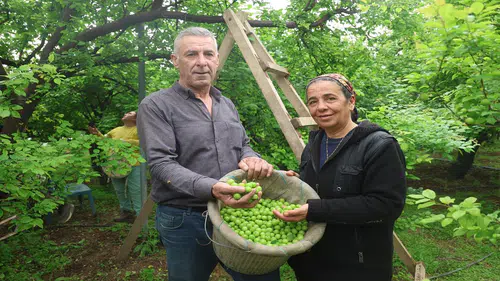 Can eriği canı oldu: Artık Avrupa'ya ihraç ediyor