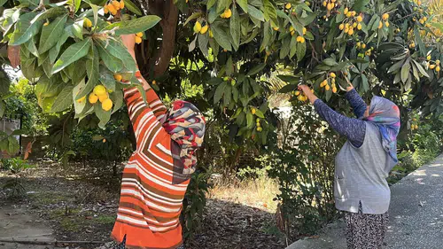 Bedava dağıttı: Gelenler poşet poşet topladı