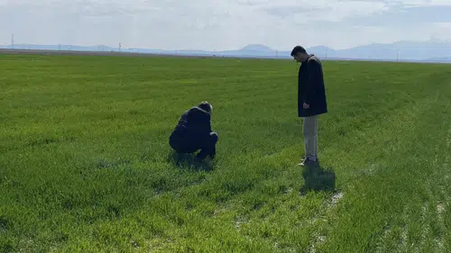 Konyalı çiftçinin rekor beklentisi: Yağışlar umutlandırıyor