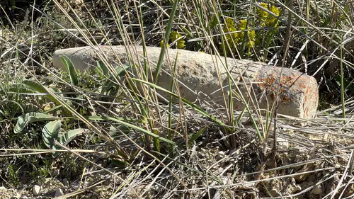 Başkentin ortasında: Mantar ararken patlamamış top mermisi buldu