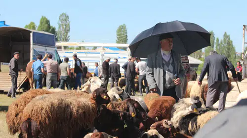 Kurban fiyatları ezber bozdu: Küçükbaş asgari ücreti aştı