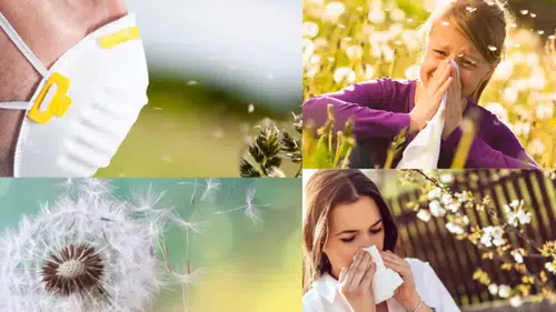 Polen öldürür mü: Uzmanlardan "bahar" uyarısı