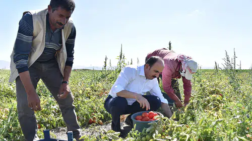 Konya üretimde zirveye yerleşti: Çiftçilere büyük destek sağlandı