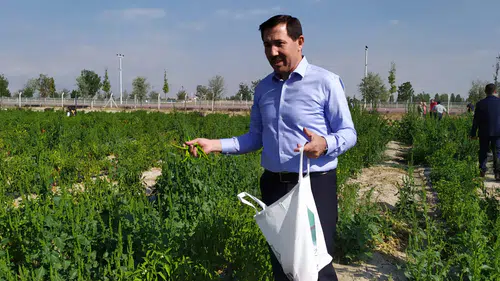 Konya’da 25 bin kişiye ücretsiz dağıtılacak: Başvuru zamanı