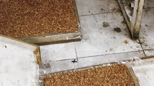 O kötü kokuyla ortaya çıktı: Evde mide bulandıran lokum ve cezerye üretimi