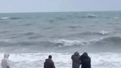 Sahile vuran çantadan çıkanlar herkesi şok etti