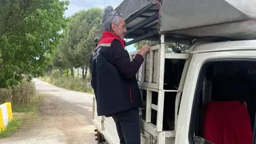 Küpesiz hayvan alınır mı: Kurbanlık alışverişinde ‘küpe' uyarısı