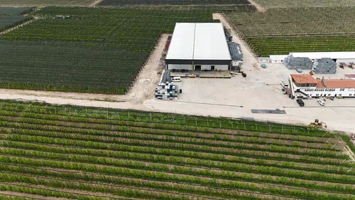 Çiftçilere kredi müjdesi: 10 milyon dolara kadar finansman geliyor