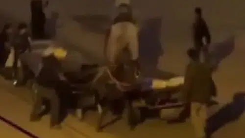 Atlara işkence kamerada