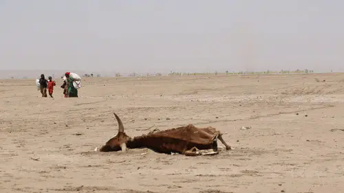 Süper El Nino ihtimali yükseliyor: Aşırı sıcaklar için uyarı