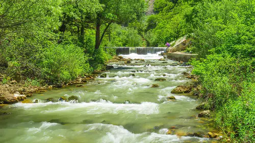 Konya'da yasaklar başlıyor: Ormanlık alanlara sıkı tedbir