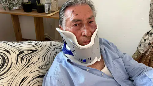 Tur şoförü Litvanyalı şampiyon boksör tarafından hastanelik edildi
