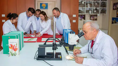 Konya'daki bilim insanları keşfetti: 4 yeni bitki türü eklendi