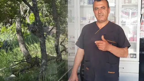 Konya'daki veterinerin kurtla konuşması viral oldu
