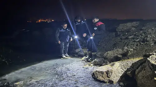 İnci kefali göçü başladı: Görsel şölen herkesi şaşırttı
