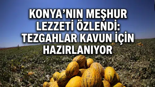Konya’nın meşhur lezzeti özlendi: Tezgahlar kavun için hazırlanıyor