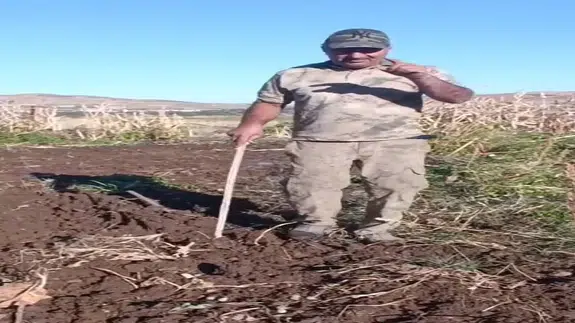 Çiftçi bahçesini talan eden domuza seslendi: İşte güldüren o görüntüler