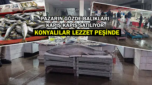Konyalılar balıkta yeni lezzet peşinde: Orkinos, zargana ve kalkan…