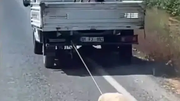 Böyle vicdansızlık görülmedi