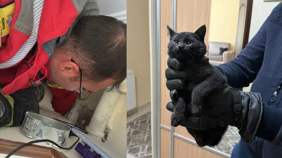 Konya'da bacaya giren kedi 6 saatlik operasyonla kurtarıldı
