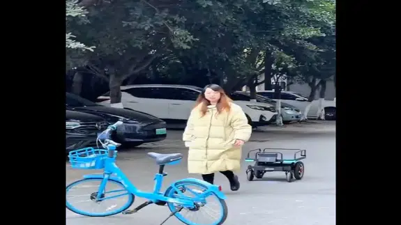 Pazar arabası ve hamallık bitiyor: Çinliler bu robotu üretti