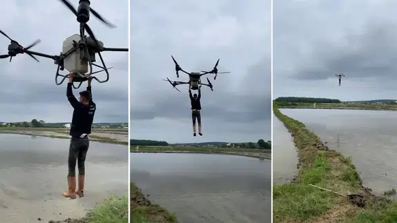 Uçtu uçtu dronla uçtu: Çeltik tarlasında tehlikeli yolculuk