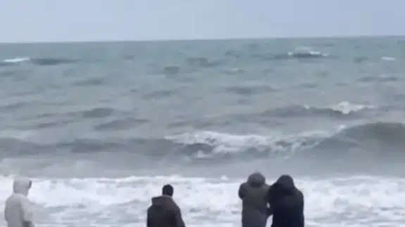 Sahile vuran çantadan çıkanlar herkesi şok etti