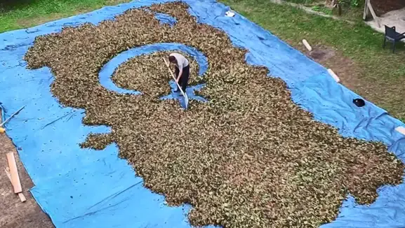 Fındıkla Türkiye haritası ve bayrağı çizdiler: Kıbrıs unutuldu