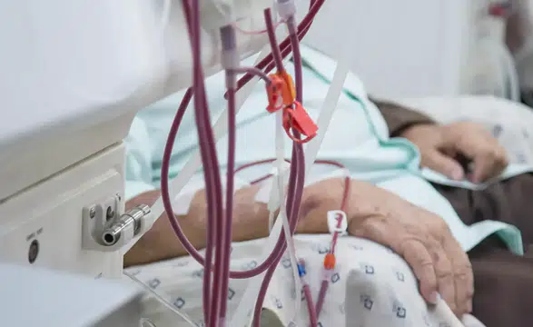 Organ naklinde devrim: Her kan grubuna uyan böbrek geliştirildi