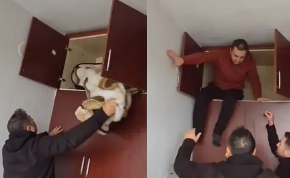 Konya'da aranan şahsın yakalandığı yer pes dedirtti