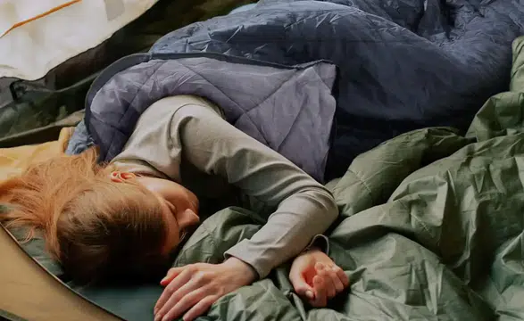 İyi bir kış uykusu mideden mi geçiyor: Soğukta beslenme ve uyku arasındaki sır