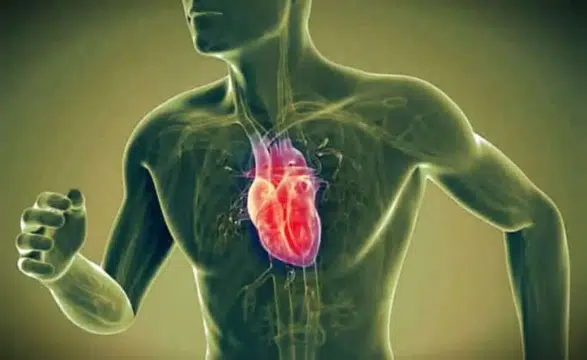 Soğuk havalar kalp krizi riskini arttırır mı? Bugün dünya kalp günü