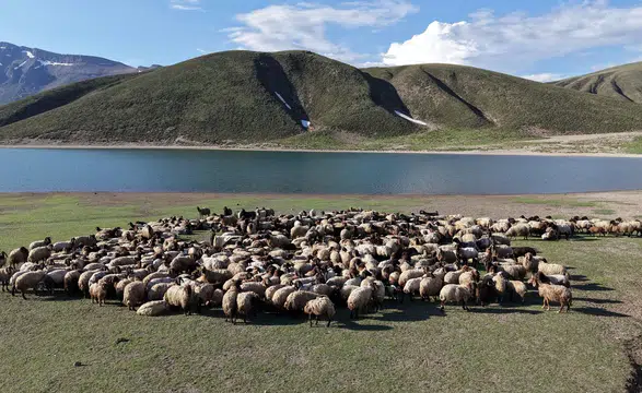 Göçerler 5 aylık yayla sezonunu açtı