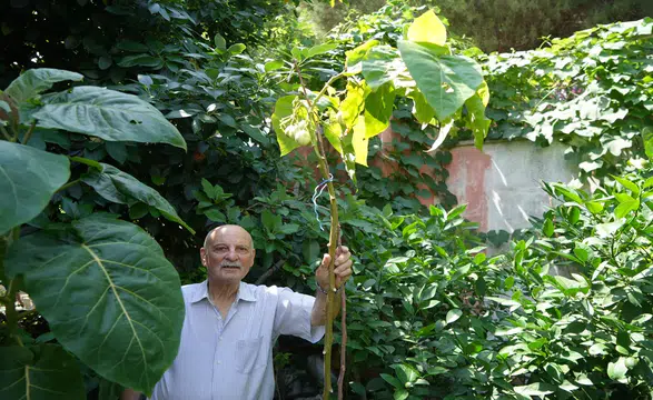 Üç kıta ve 50 ülke: Evinde 'Birleşmiş Milletler Bahçesi' kurdu